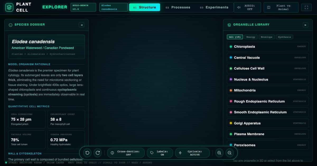 Screenshot of the Plant Cell demo