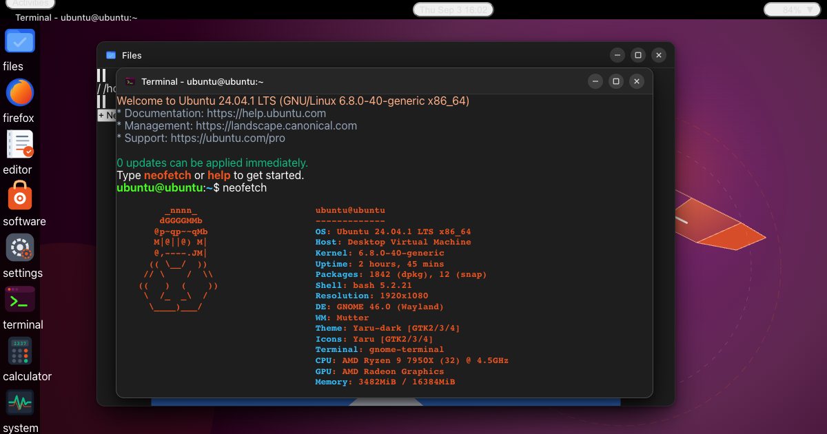 Screenshot of the Ubuntu demo